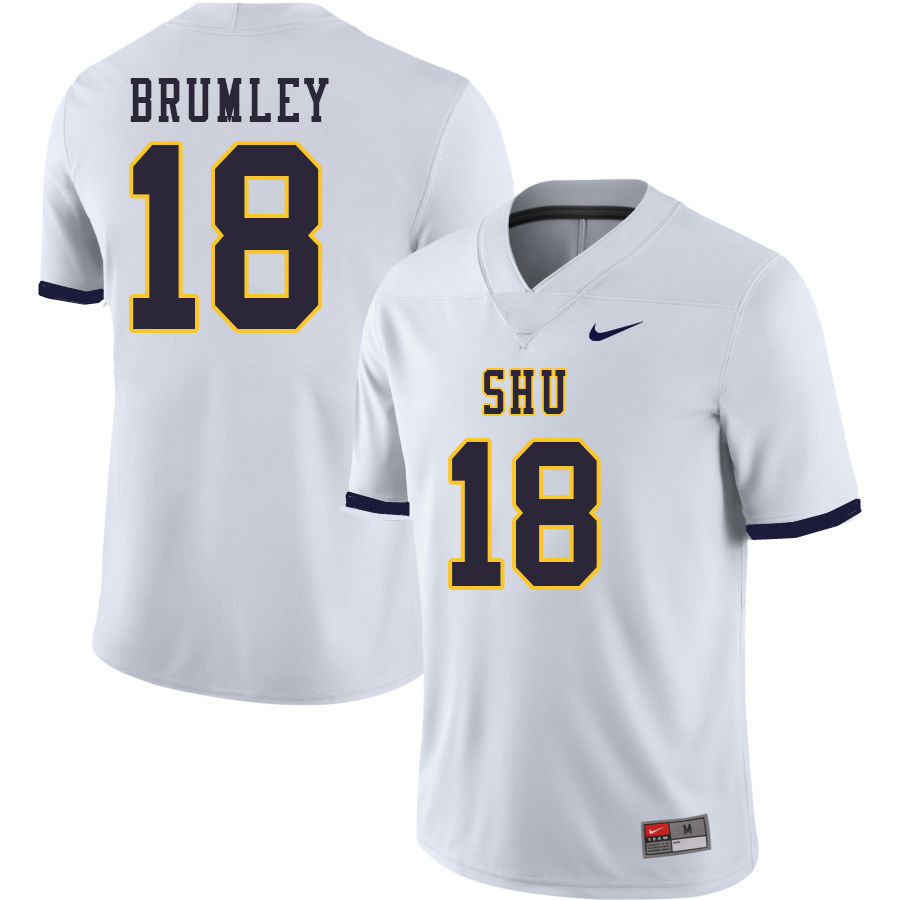 Men-Youth #18 Ryan Brumley Siena Heights Saints 2023 College Football Jerseys Stitched-White